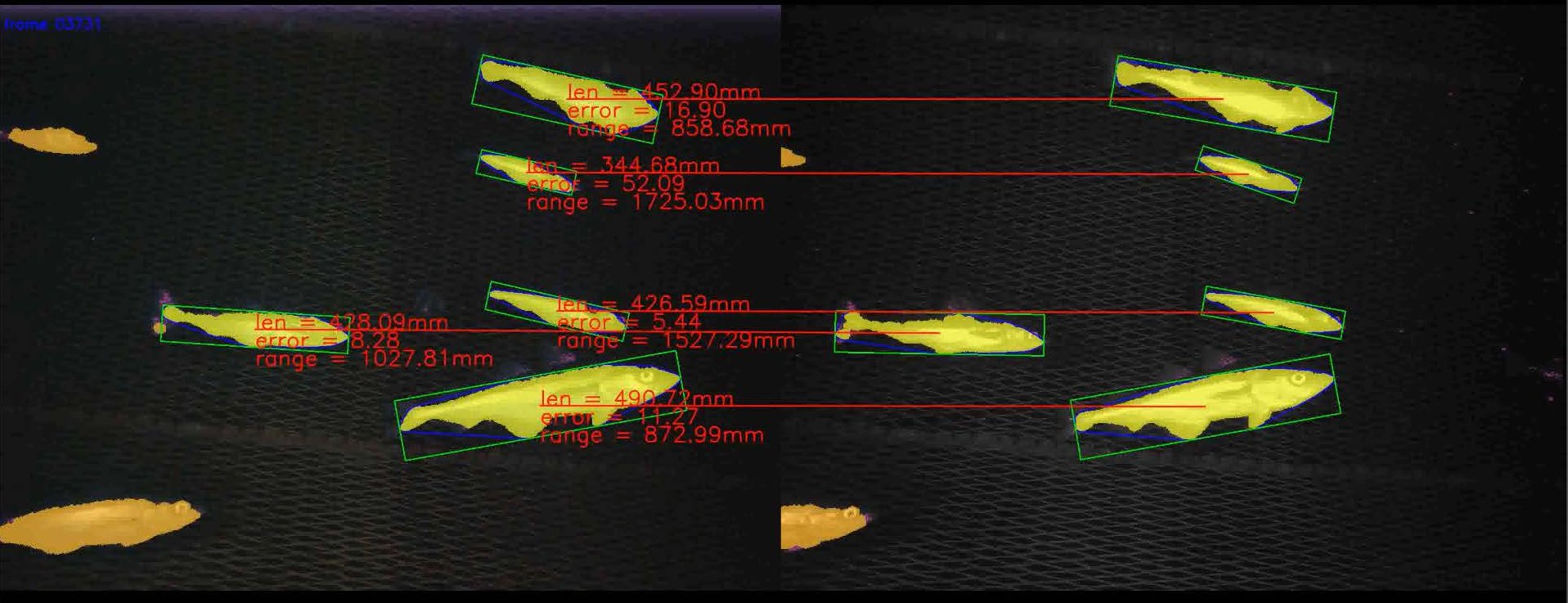 http://www.viametoolkit.org/wp-content/uploads/2018/02/fish_measurement_example.png